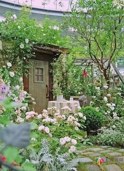 自家的私家花園的養(yǎng)護(hù)管理呢?彩木園林給支個(gè)招!