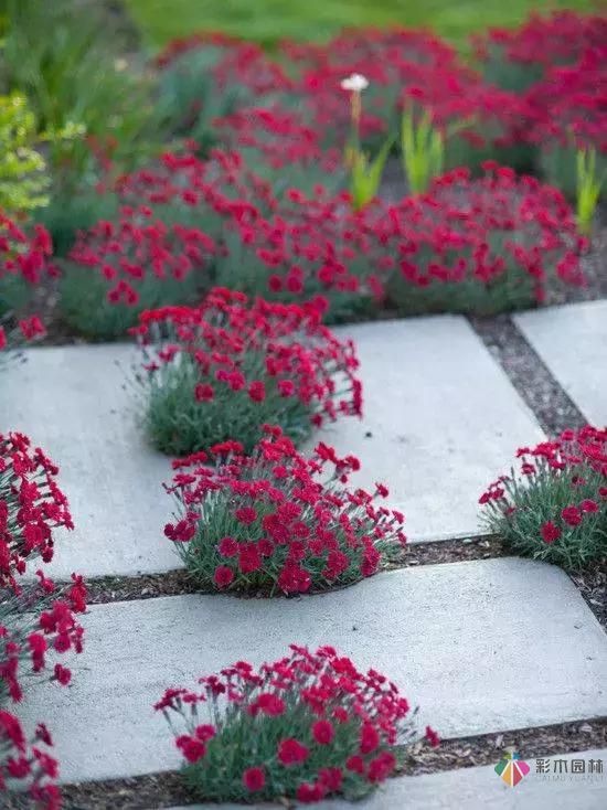 花園設(shè)計(jì)改造，手把手教你打造最美花園