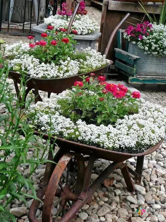 花園設(shè)計(jì)改造，手把手教你打造最美花園
