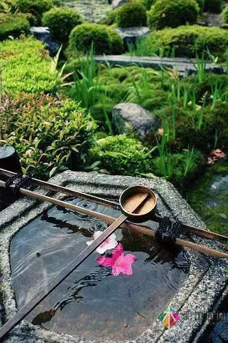 花園設(shè)計(jì)改造，手把手教你打造最美花園