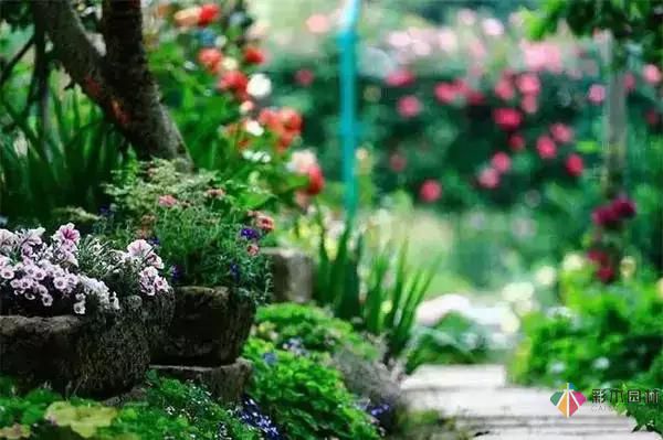 這樣子的庭院花園施工維護，花鏡美的不要不要的！