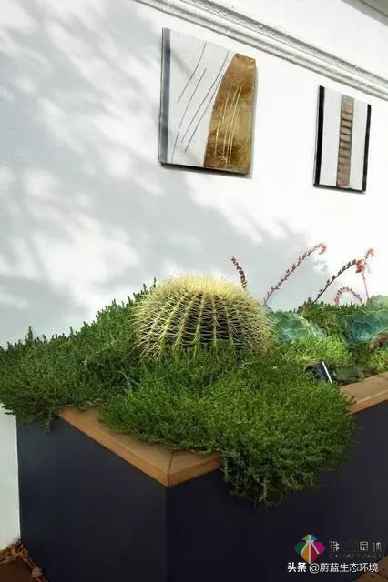 屋頂花園設(shè)計(jì)規(guī)范及植物配置！值得珍藏
