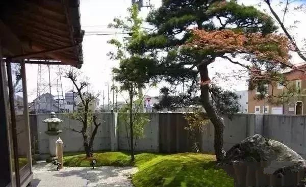 花園設計，苔造園也是一道美景！
