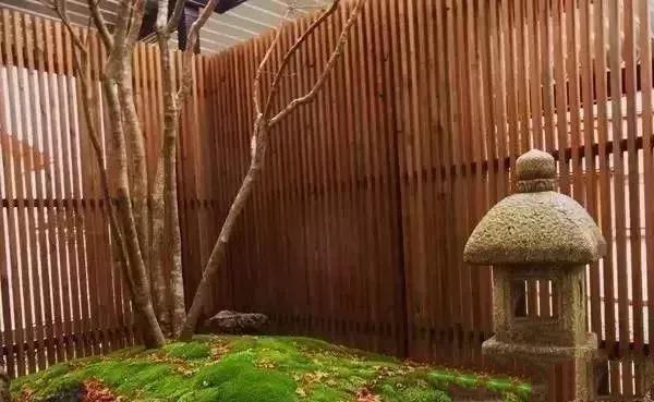 花園設計，苔造園也是一道美景！