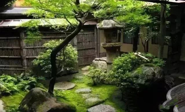 花園設計，苔造園也是一道美景！
