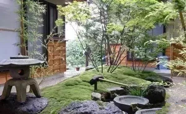 花園設計，苔造園也是一道美景！