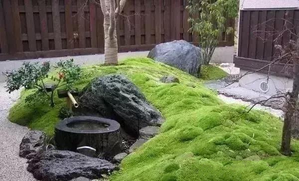 花園設計，苔造園也是一道美景！