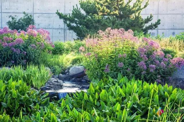 庭院花境園藝設(shè)計(jì)和植物搭配需要哪些要求？