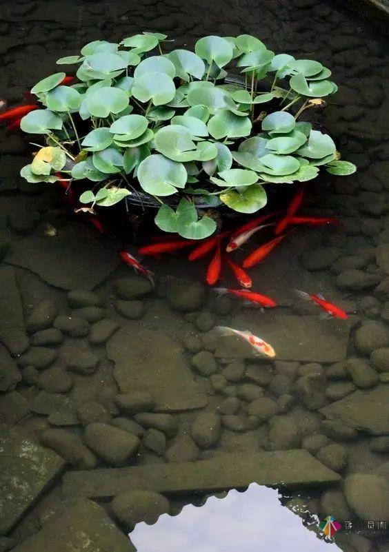 庭院花園設(shè)計(jì)怎么少的了水景？