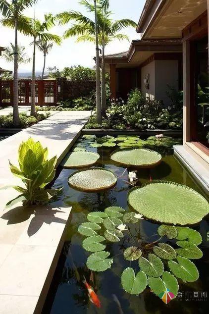 庭院花園設(shè)計(jì)怎么少的了水景？