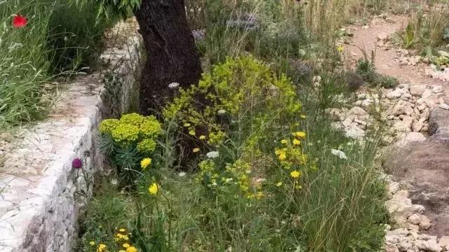 花園庭院設計中植物該怎么設計？