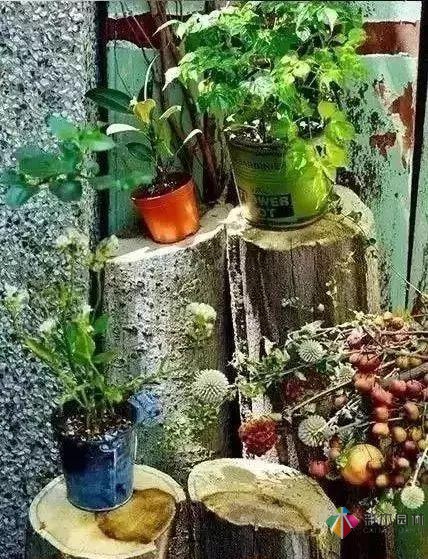 百搭的私家花園設(shè)計(jì)風(fēng)格總結(jié)經(jīng)驗(yàn)營(yíng)造您的小花園