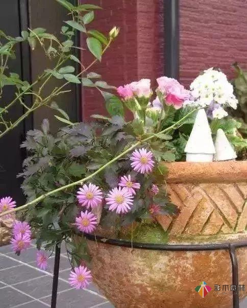 百搭的私家花園設(shè)計(jì)風(fēng)格總結(jié)經(jīng)驗(yàn)營(yíng)造您的小花園