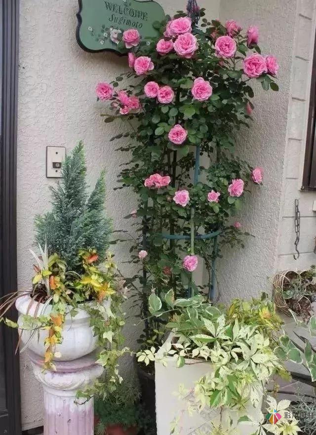 百搭的私家花園設(shè)計(jì)風(fēng)格總結(jié)經(jīng)驗(yàn)營(yíng)造您的小花園