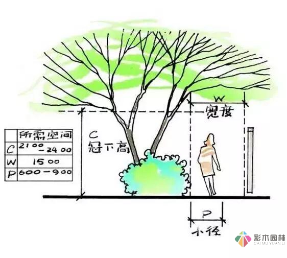 這份小花園設計思路，也許對你又不少幫助