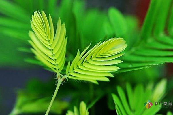 優(yōu)秀的花園設計謹記的15要素