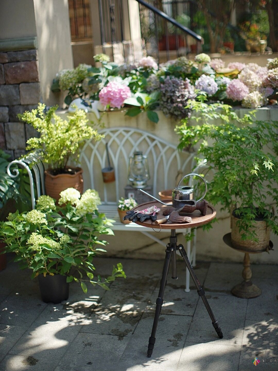 DIY園藝:自建設計100㎡花園。花不了多少錢，卻很有成就感。