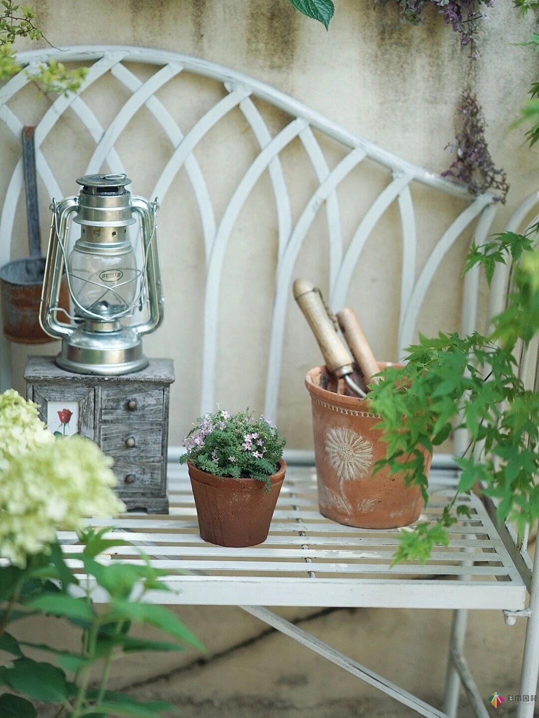 DIY園藝:自建設計100㎡花園。花不了多少錢，卻很有成就感。
