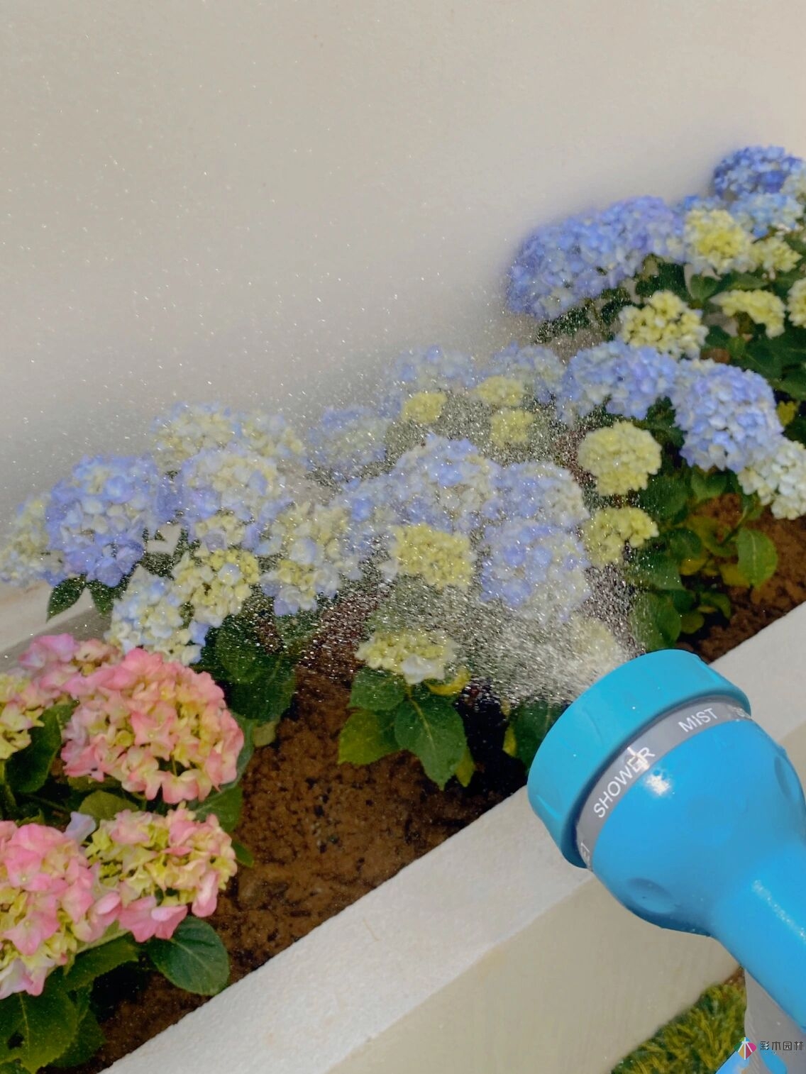 花17萬，改造農村自建房150 m2庭院花園，入住三個月，感覺好